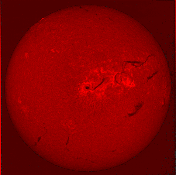 ESF of the Sun at 656.3 nanometers